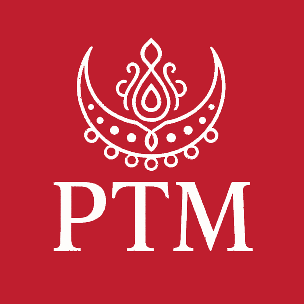 PTM Group Logo